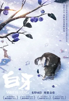 杜比视界