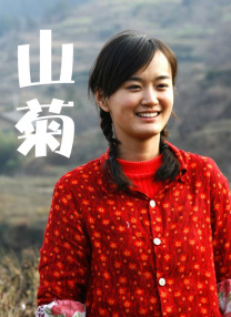 全集在线观看