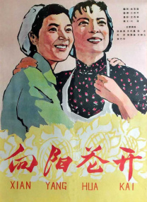1080HD高清在线观看